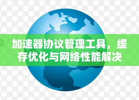 加速器协议管理工具，缓存优化与网络性能解决方案