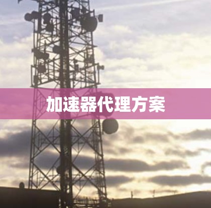 加速器代理方案
