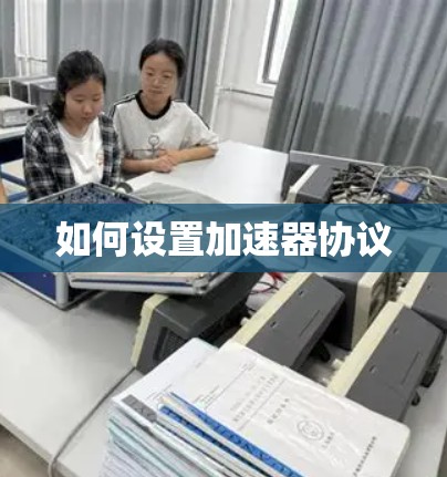 如何设置加速器协议