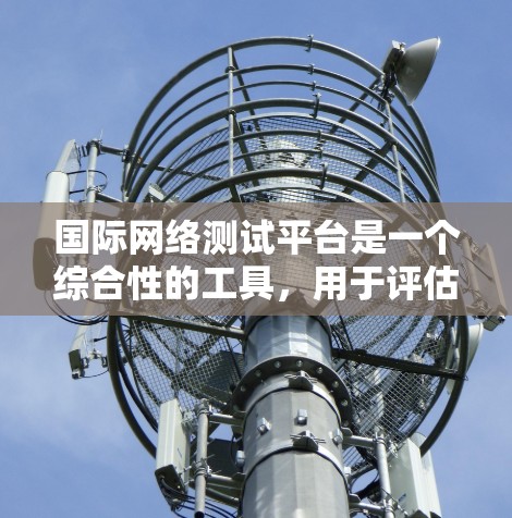 国际网络测试平台是一个综合性的工具，用于评估和监控网络性能、稳定性和安全性。以下是对该平台的详细分析和评估