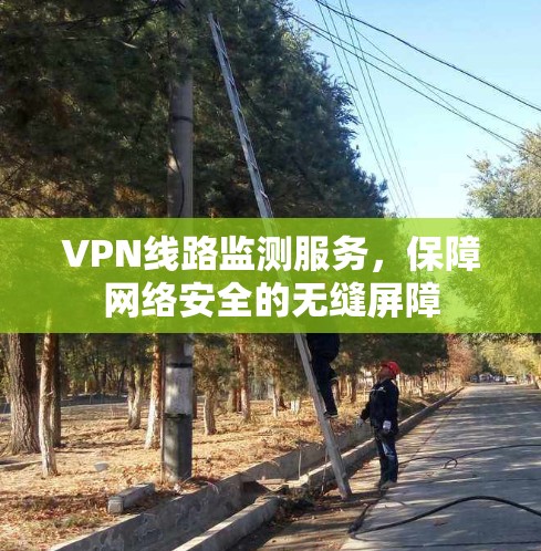 VPN线路监测服务，保障网络安全的无缝屏障