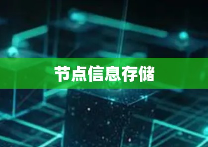 节点信息存储