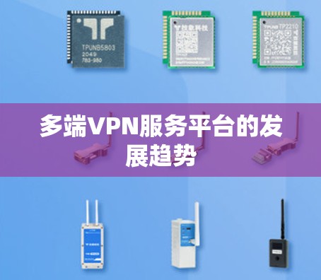 多端VPN服务平台的发展趋势