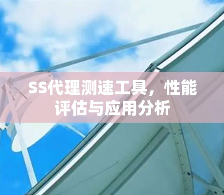SS代理测速工具，性能评估与应用分析