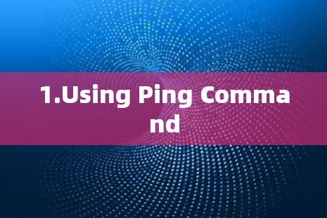 1.Using Ping Command