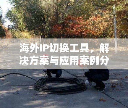 海外IP切换工具，解决方案与应用案例分析