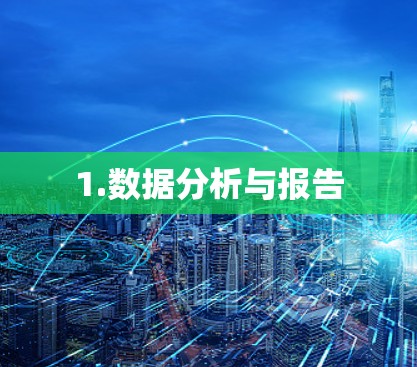 1.数据分析与报告