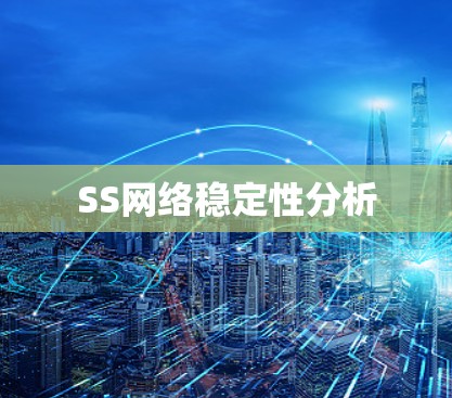 SS网络稳定性分析
