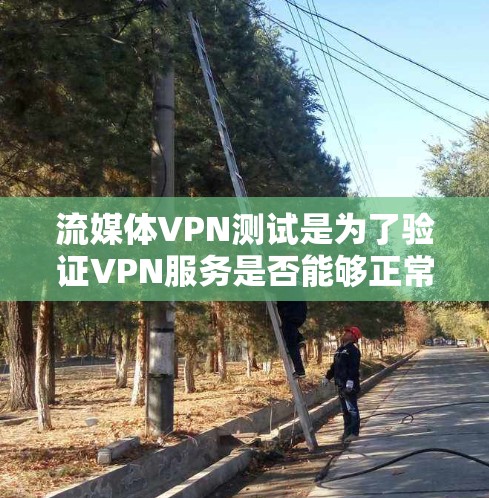 流媒体VPN测试是为了验证VPN服务是否能够正常工作，确保通过VPN连接后可以访问所需的流媒体内容，避免地区限制或其他网络问题。以下是流媒体VPN测试的关键步骤和注意事项