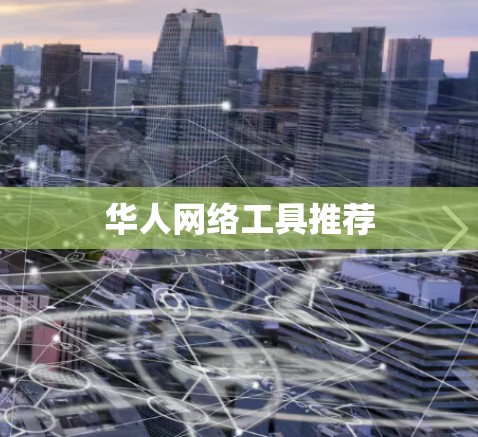 华人网络工具推荐