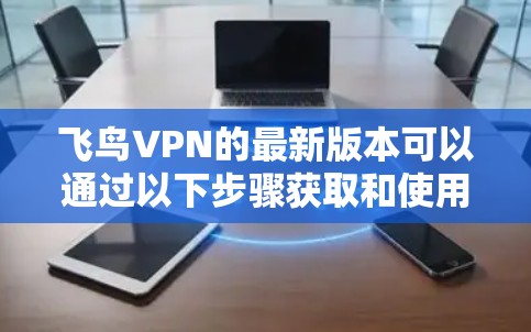 飞鸟VPN的最新版本可以通过以下步骤获取和使用