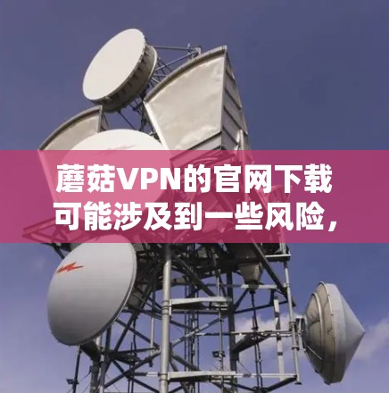 蘑菇VPN的官网下载可能涉及到一些风险，因此建议用户谨慎对待。以下是一些相关信息和建议