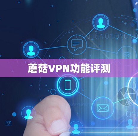 蘑菇VPN功能评测
