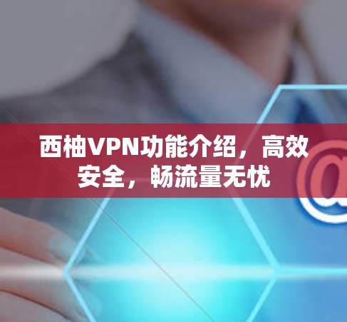 西柚VPN功能介绍，高效安全，畅流量无忧