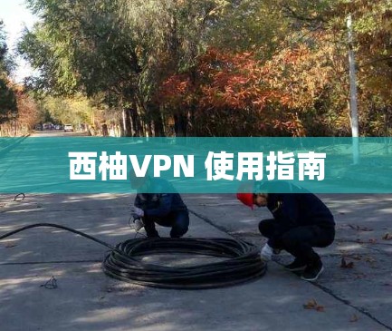 西柚VPN 使用指南