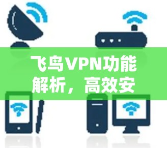 飞鸟VPN功能解析，高效安全性能全面解析