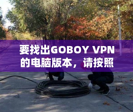 要找出GOBOY VPN的电脑版本，请按照以下步骤操作
