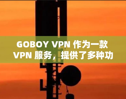 GOBOY VPN 作为一款 VPN 服务，提供了多种功能和服务，以下是对其功能体验的分析