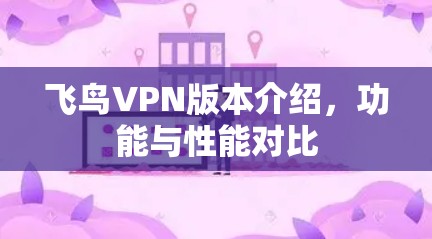 飞鸟VPN版本介绍，功能与性能对比