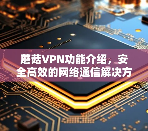 蘑菇VPN功能介绍，安全高效的网络通信解决方案