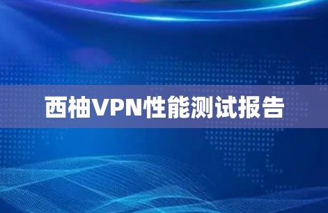 西柚VPN性能测试报告