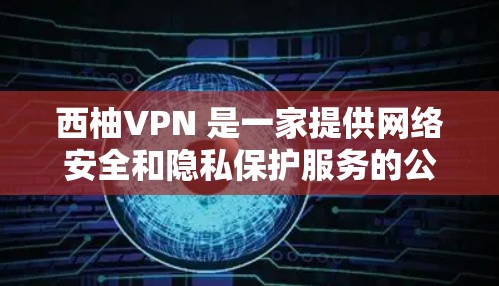 西柚VPN 是一家提供网络安全和隐私保护服务的公司，其主要功能包括以下几个方面
