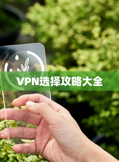 VPN选择攻略大全